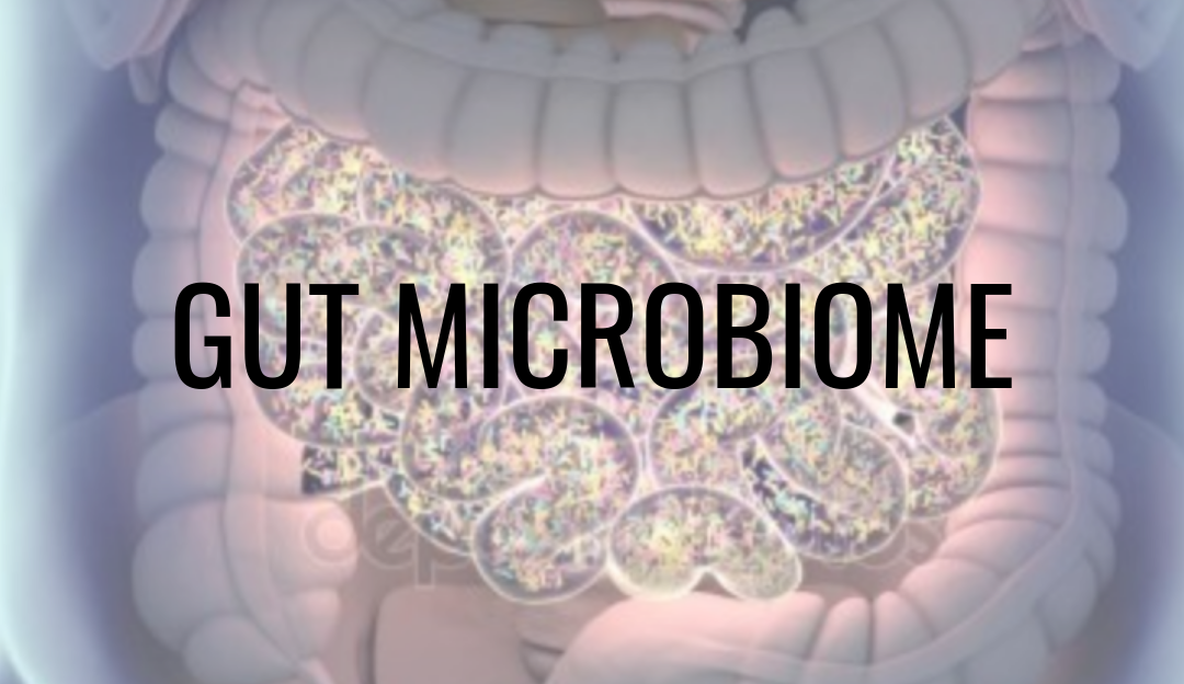 Microbiome 101 – Definition, Testing and Gut Health